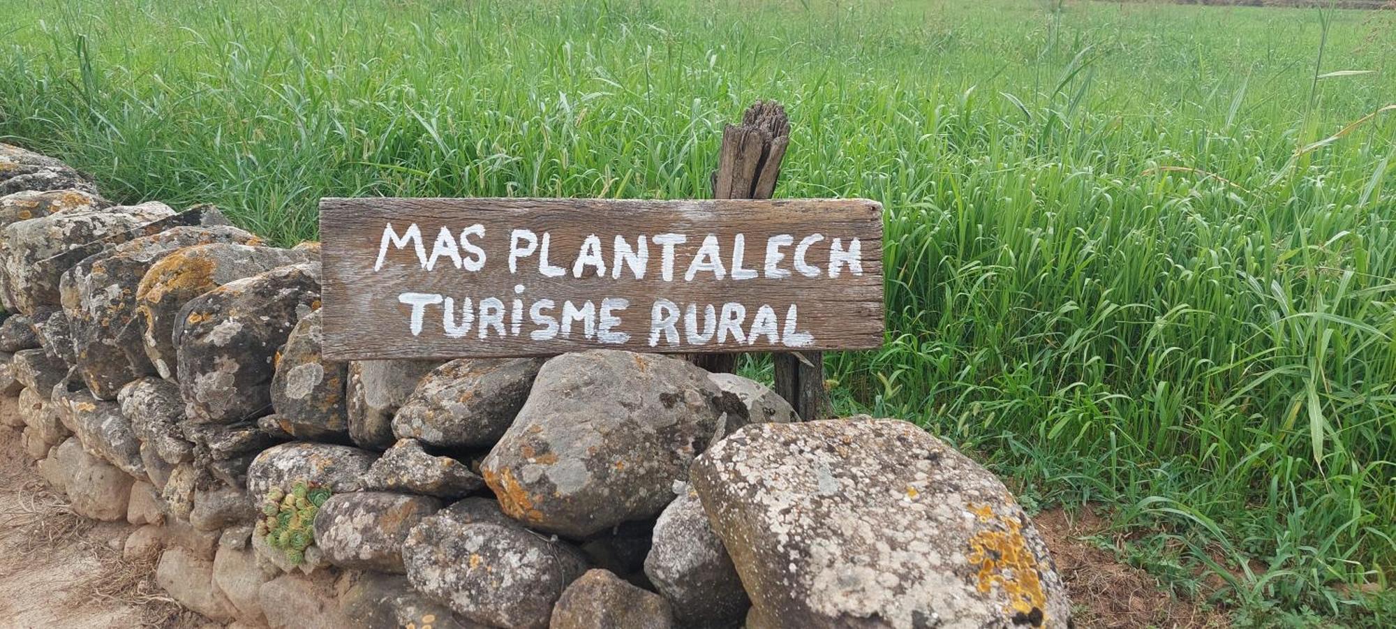 Mas Plantalech