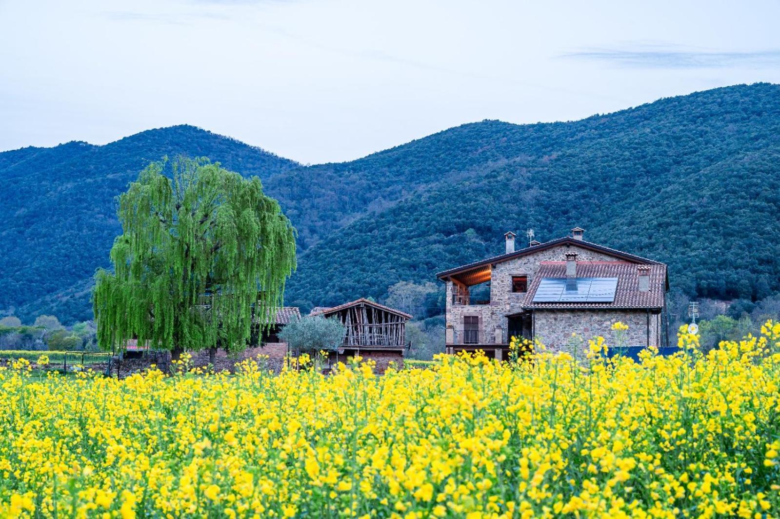 Mas Plantalech Apartamento Gerona